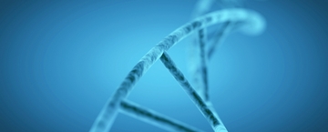 Research & Innovation