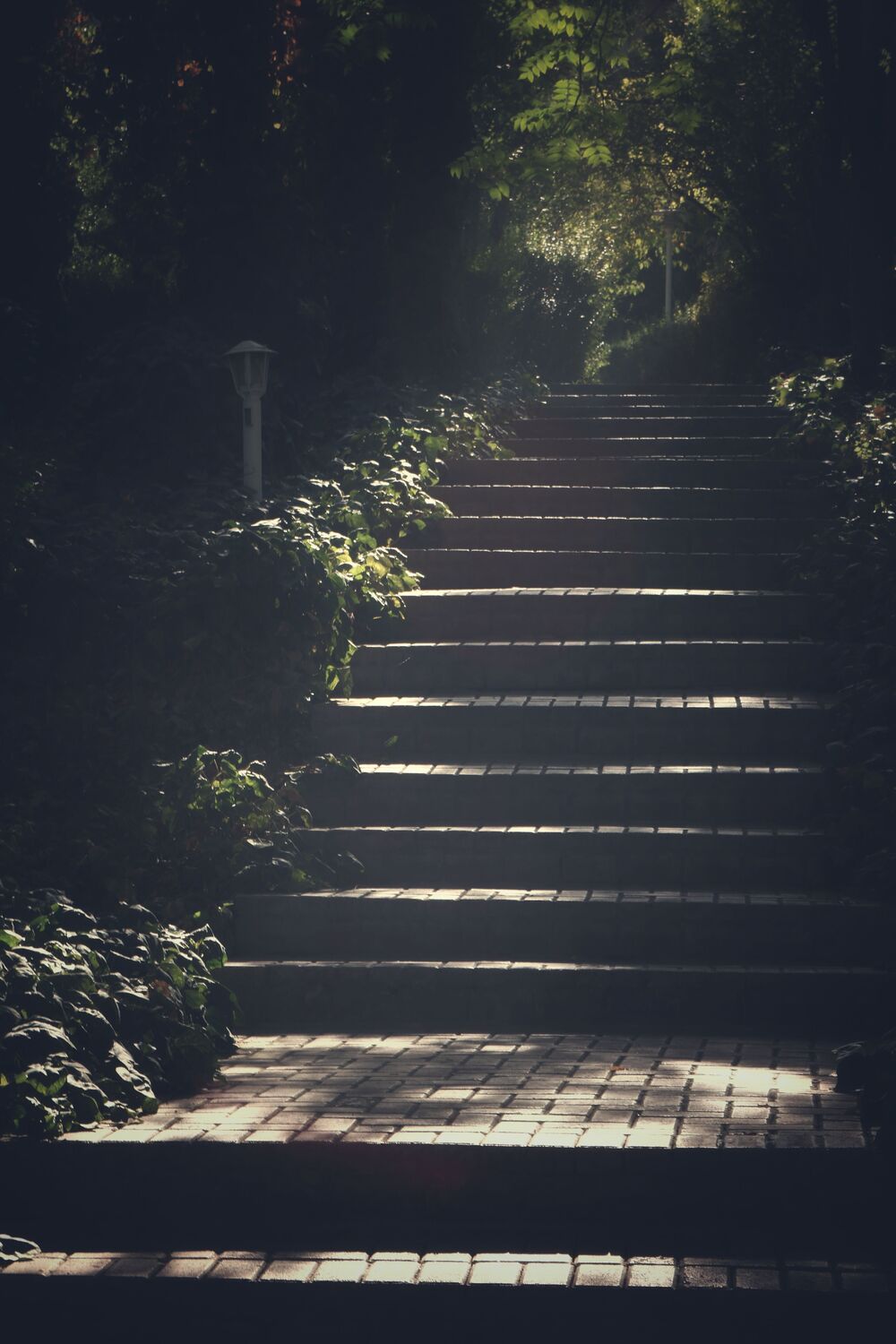 The Journey