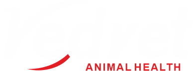 Vedvet